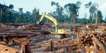 Eko-Developmentalisme Kehutanan dan Pertambangan Pasca Orde Baru